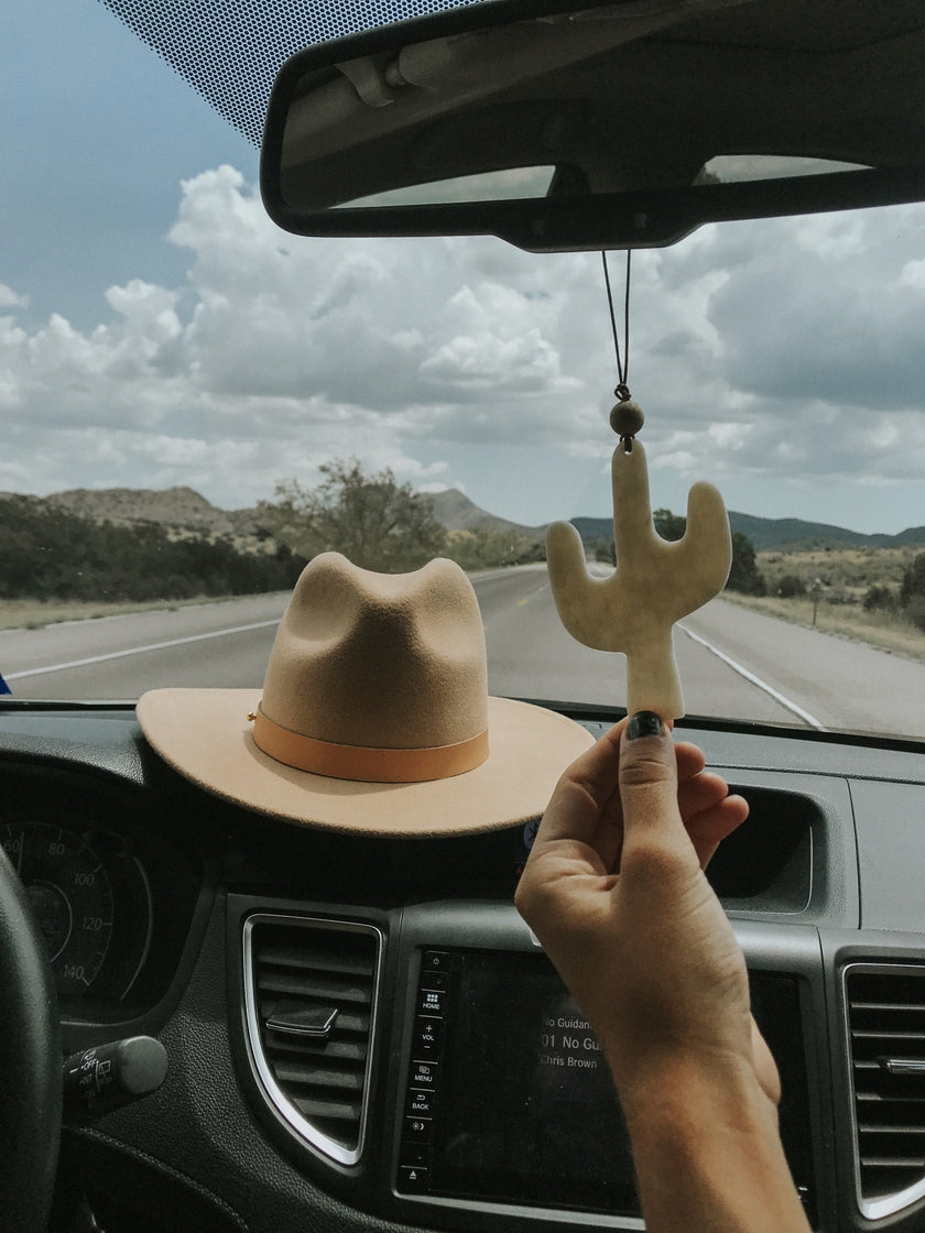 Hanging Car Diffusers