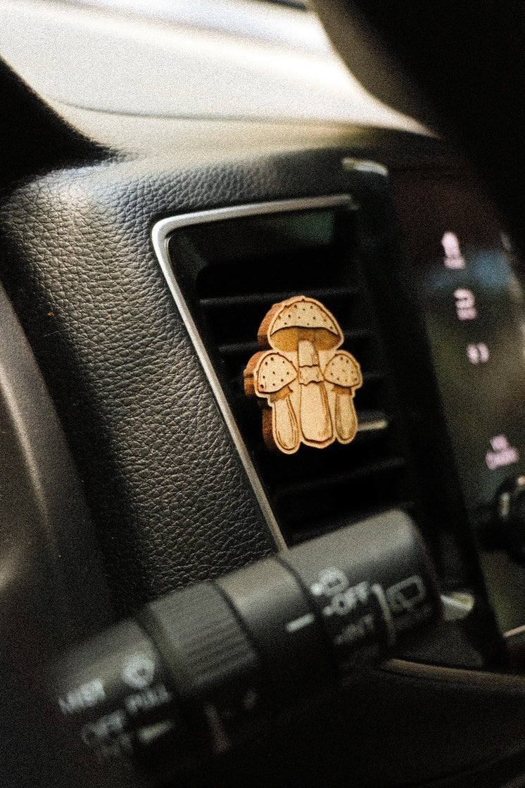 Air Vent Car Diffusers