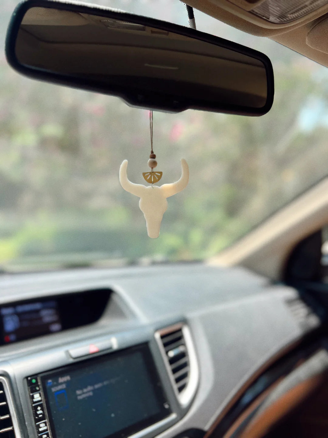 Hanging Car Diffusers