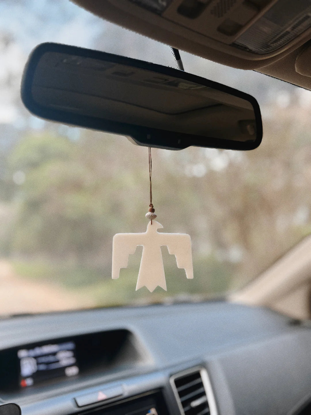 Hanging Car Diffusers