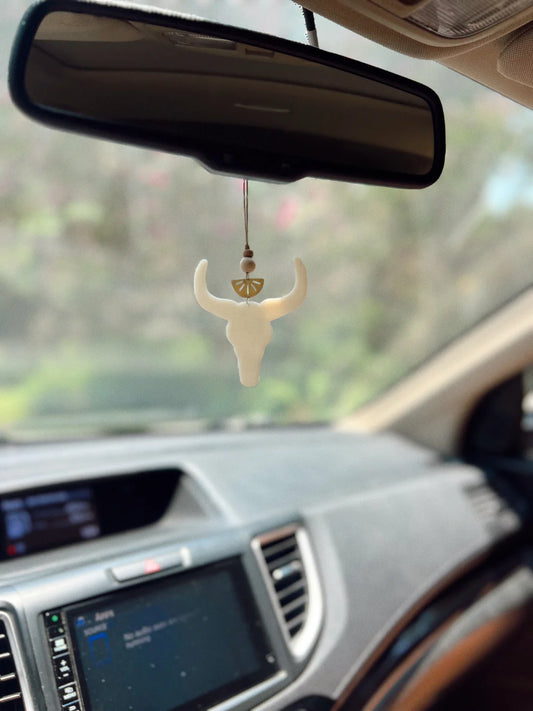 Hanging Car Diffusers