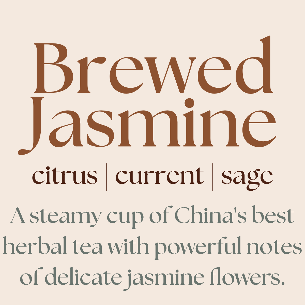 Text description of a brewed jasmine tea with notes of citrus, current, and sage on a beige background.