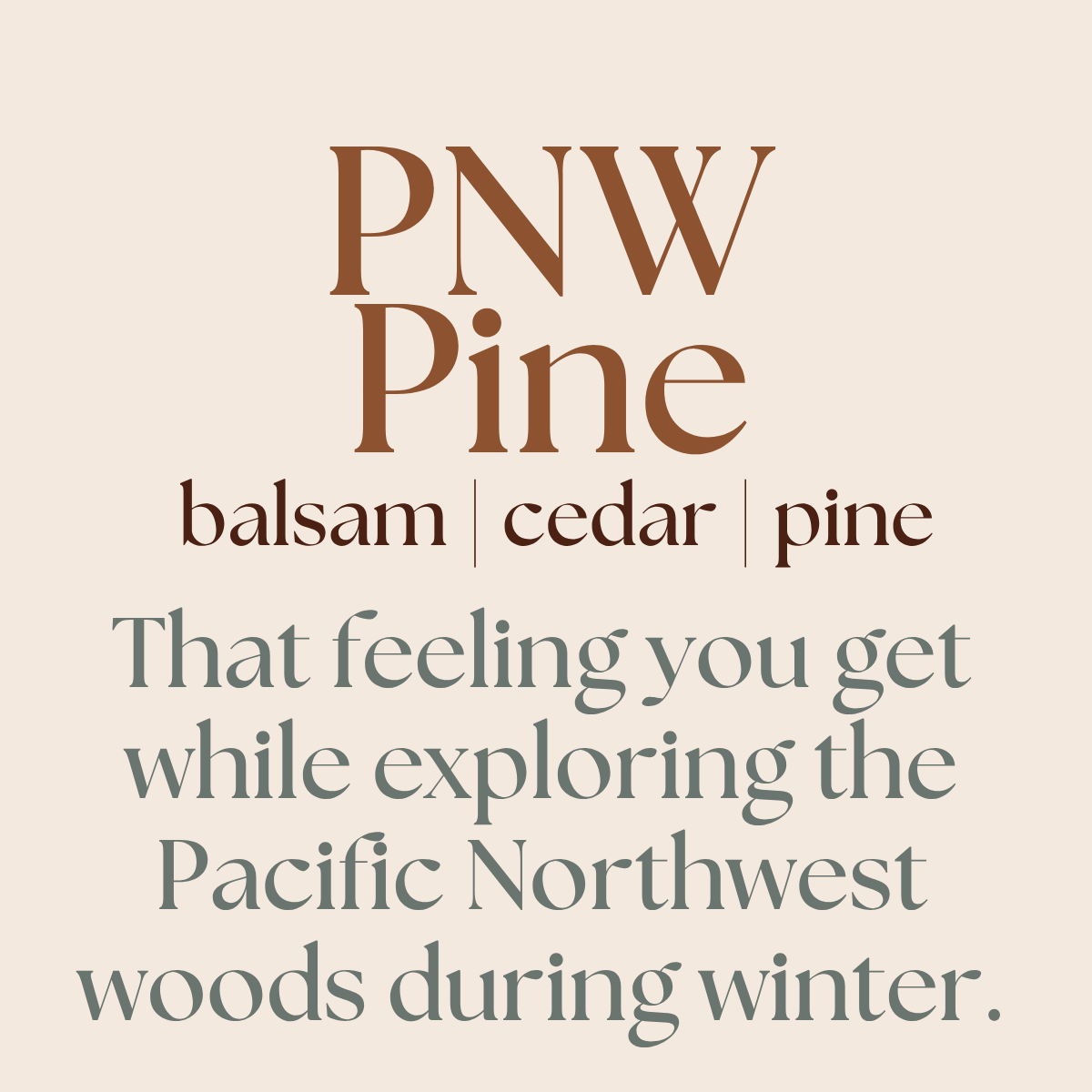 Text on a beige background describing 'PNW Pine' scents and their association with the Pacific Northwest woods during winter.
